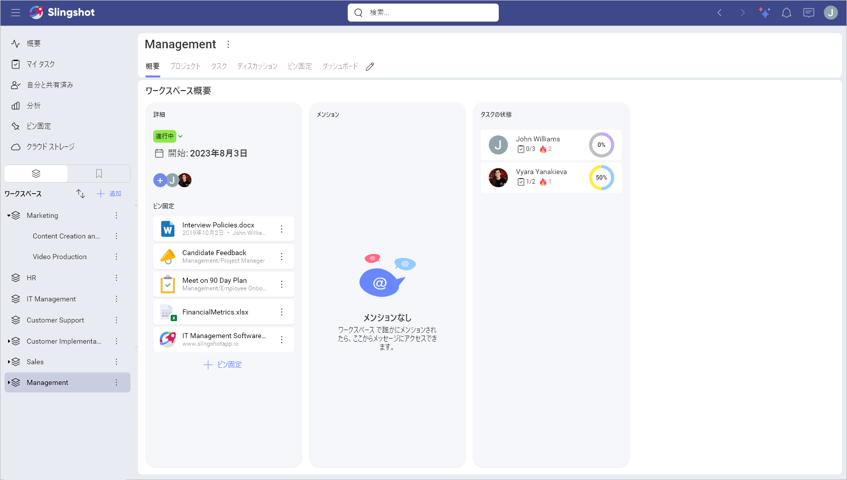 Workspace Overview within Slingshot